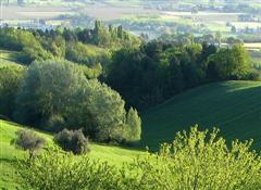 foto di colline romagnole